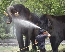  ?? — PTI ?? A zookeeper sprinkles water on an elephant on a hot summer afternoon at New Delhi Zoo on Tuesday.