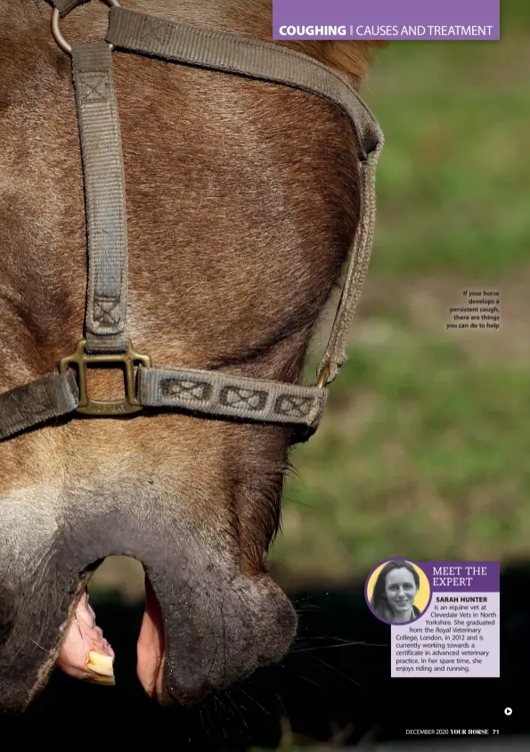  ??  ?? If your horse develops a persistent cough, there are things you can do to help