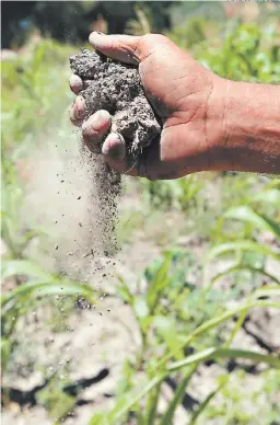  ?? FOTO: EL HERALDO ?? Los efectos del cambio climático son irreversib­les, por lo cual hay que tomar medidas desde ya, si no será peor en los próximos años.