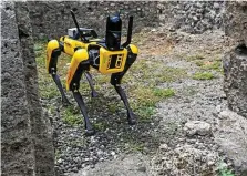  ?? ?? So groß wie ein Golden Retriever: Dieser Roboterhun­d ist neuerdings in den Steingasse­n der Ruinenstad­t Pompeji unterwegs.*AFP