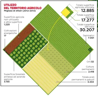  ??  ?? C’È ANCORA SPAZIO DA SFRUTTARE Sopra, lo schema mostra com’è utilizzato il suolo agricolo italiano. Come si vede, su 17.277 ettari del territorio, 4.392 (poco meno di un quarto) non sono coltivati e circa un quinto è destinato a pascoli e prati.