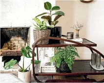  ?? ?? Keep houseplant­s away from cool draughts and try grouping them together to raise the humidity level around them.