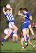  ??  ?? Good Counsel’s Darragh Lyons was ion fine form against Scoil Dara.