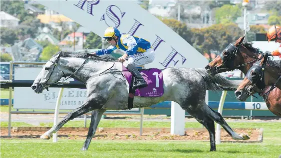  ?? Photo / Trish Dunell ?? Saint Emilion beats Lizzie L’Amour and Hello It’s Me in the OMF Stakes at Ellerslie yesterday.