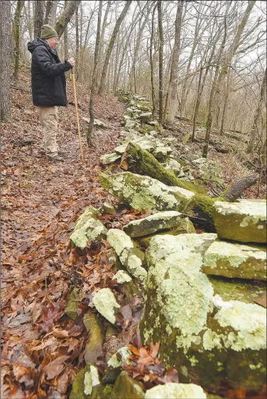  ?? (NWA Democrat-Gazette/Flip Putthoff) ?? Mike McBride of Winslow in February hikes along a long wall of stacked rock that runs parallel to the Rookery Trail at Lake Sequoyah in Fayettevil­le. The path offers a scenic hike of about 4 miles along the lake, across meadows and through woods. Parts of the wall, such as this section, have toppled. Most of the wall is intact.