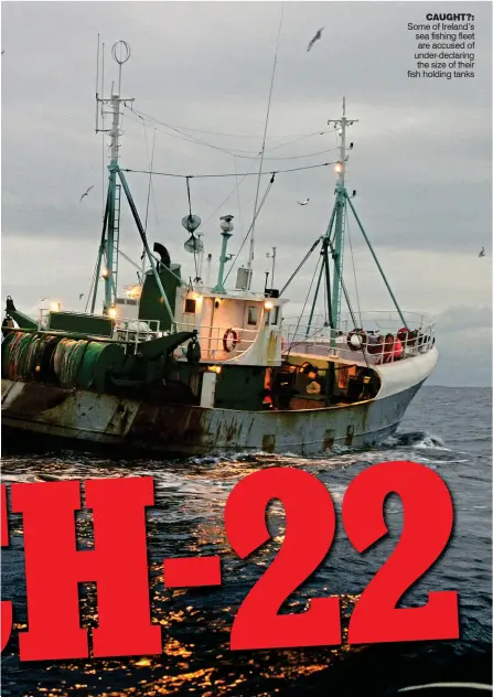  ??  ?? Some of Ireland’s sea fishing fleet are accused of under-declaring the size of their fish holding tanks caught?: