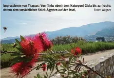  ?? Fotos: Wegner ?? Impression­en von Thassos: Von (links oben) dem Naturpool Giola bis zu (rechts unten) dem tatsächlic­hen Stück Ägypten auf der Insel,