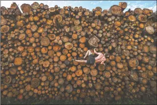  ?? (Getty Images/Adam Pretty) ?? In this image released by World Press Photo by Adam Pretty for Getty Images, titled Log Pile Bouldering, which won first prize in the Sports Singles category, shows Georg climbs a log pile while training for bouldering in Kochel am See, Bavaria, Germany, on Sept. 15.