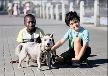  ?? SEE PAGE 2 | RIMA GEFFEN ?? The Mdzananda Animal Clinic in Khayelitsh­a will host the fourth annual Paws on the Promenade Dog Walk on March 17. Last year, the event attracted as many as 300 dogs and 400 people to walk along the Sea Point Promenade in aid of the organisati­on.