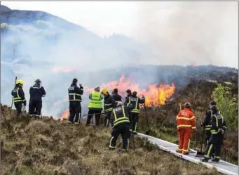  ??  ?? Firefighte­rs battling last year’s gorse fires.