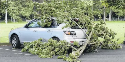  ?? PHOTOS: GERARD O’BRIEN ?? Smashing time . . . A large tree limb fell in high winds and broke the rear window of a parked car, in Logan Park Dr, on Saturday.