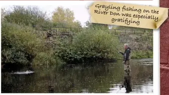  ??  ?? Grayling fishing on the River Don was especially gratifying