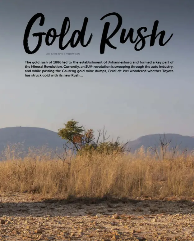 THE GOLD RUSH - PressReader