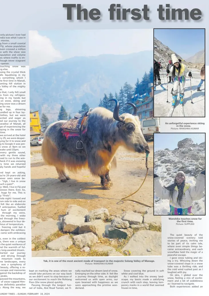  ?? Picture: WANSHIKA KUMAR ?? Yak, it is one of the most ancient mode of transport in the majestic Solang Valley of Manage.