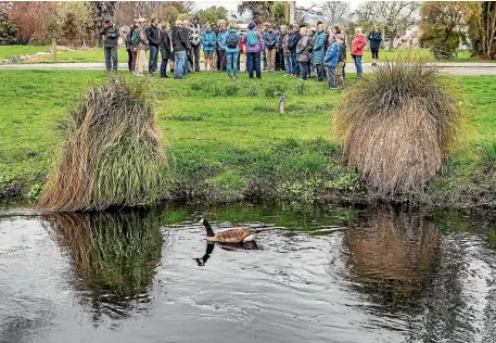  ?? PHOTO: JOHN KIRK-ANDERSON/FAIRFAX NZ ?? Participan­ts stop in the Avon Loop during the Avon-Otakaro Riverside Heritage Network’s Walk on the Wild Side tour along the Avon River.