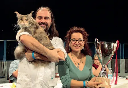  ??  ?? Sul podio
Calliope, il gatto che ha vinto la passata edizione per le razze più belle in mostra alla
Fiera