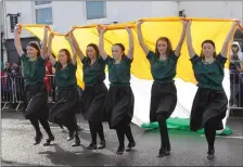 ??  ?? Girls from the Wexford School of Ballet and Modern Dance in the Wexford Parade in 2012.