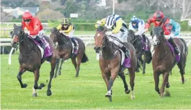  ?? Picture / Trish Dunell ?? Vinnie Colgan rides Haussmann (centre) to victory on Saturday.