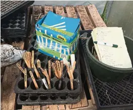  ??  ?? Winn and his wife have a system of tracking seeds they plant that involves making detailed lists and marking trays with labelled ice cream sticks.