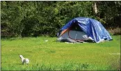  ?? DAN REIDEL — ENTERPRISE-RECORD ?? A dog basks in the sunlight near a tent at Teichert Ponds on Friday in Chico.