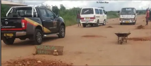  ??  ?? Voluntary road patchers filling potholes in Emganwini high-density suburb recently
Pic: Nizbert Moyo
