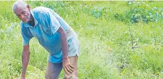  ?? Picture: ANASEINI DIMATE ?? The former Water Authority of Fiji worker says one of the major challenges he faces as a farmer is the lack of help from machines to till the land as it costs $100 an hour for a digger.