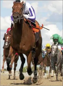  ?? PROVIDED PHOTO ?? Dream It Is is coming down from Toronto to compete in the Schuylervi­lle Stacks at Saratoga Race course today.