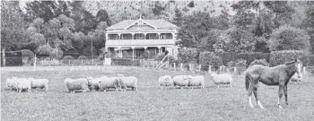  ?? PHOTO: OTAGO WITNESS ?? Homestead history . . . The original Mount Royal Station homestead, near Palmerston, in 1911.