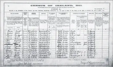  ?? ?? The form showing the listing of occupants at Egan’s National Hotel on Queens Square (now Pearse Square), on Census night 1911.