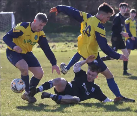  ??  ?? Newtown United’s Rob Greenan (middle) is double-teamed by Glencormac’s Simon Doyle (right) and Luke Reynolds (left).