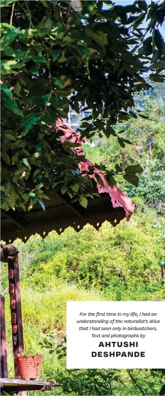  ??  ?? Amid the green landscape of Jungle Lore Birding Lodge