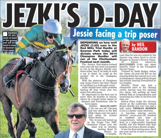  ??  ?? RARING TO GO: Jezki is back in the groove and will be hard to beat at Gowran Park today