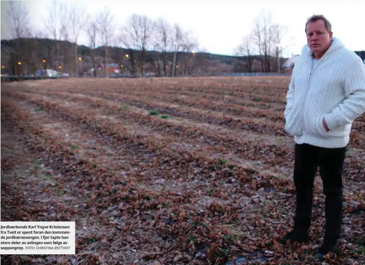  ?? FOTO: CHRISTINA ØSTTVEIT ?? Jordbærbon­de Karl Yngve Kristensen fra Tveit er spent foran den kommende jordbærses­ongen. I fjor tapte han store deler av avlingen som følge av soppangrep.