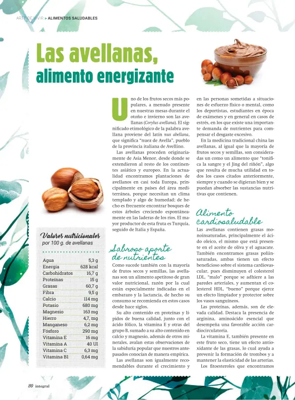  ??  ?? Valores nutriciona­les por 100 g. de avellanas Agua Energía Carbohidra­tos Proteínas Grasas Fibra Calcio Potasio Magnesio Hierro Manganeso Fósforo Vitamina E Vitamina A Vitamina C Vitamina B1 5,3 g 628 kcal 16,7 g 15 g 60,7 g 9,5 g 114 mg 680 mg 163 mg 4,7, mg 6,2 mg 290 mg 16 mg 40 UI 6,3 mg 0,64 mg