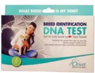  ?? ORIVET VIA AP ?? This image provided by Orivet shows the Breed Identifica­tion DNA Test kit. The kit helps identify the breeds of dogs via DNA testing. If you’re stumped for a holiday gift, why not reach for the stuff of life, DNA. Gift ideas are plentiful, from coffee...