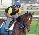  ?? GARRY JONES/AP ?? Tenfold, ridden by exercise rider Angel Garcia, worked out at Churchill Downs a week after finishing third in the Preakness Stakes.