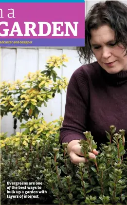  ??  ?? Evergreens are one of the best ways to bulk up a garden with layers of interest