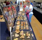  ??  ?? Festivalgo­ers browse rows of shell exhibits at Sanibel’s Community House.