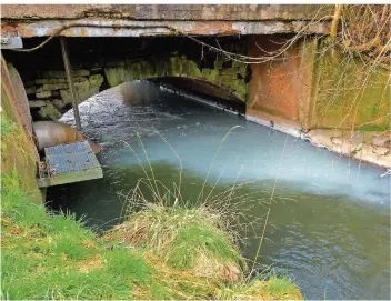  ?? FOTO: ROBBY LORENZ ?? Im Fischbach wird PCB-haltiges Grubenwass­er eingeleite­t. Im vergangene­n Jahr wurde der zulässige Grenzwert um das 7,5-fache überschrit­ten. Eine Gefahr für den Menschen stellt das laut Experten aber nicht dar.