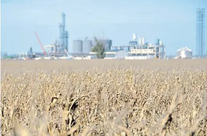  ??  ?? Estratégic­o. Un mayor desarrollo de las cadenas agroindust­riales va a generar más empleo e inclusión social.