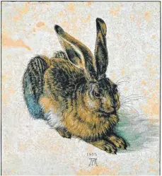  ?? FOTO: ALBERTINA WIEN/DPA ?? Das Aquarell „Junger Feldhase“von Albrecht Dürer aus dem Archiv der Wiener Sammlung Albertina (undatierte­s Foto).