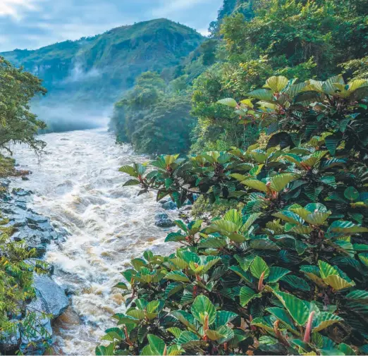  ?? ?? El enfoque de los Encuentros por el agua y la energía renovable de este año será la biodiversi­dad.