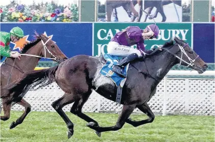  ?? PHOTO: RACE IMAGES ?? Job done . . . Jockey Ryan Elliot celebrates Platinum Command’s win over She’s Poppy in the $100,000 Winter Cup at Riccarton on Saturday.