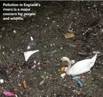  ??  ?? Pollution in England’s rivers is a major concern for people and wildlife.