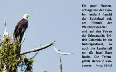  ?? Fotos: Sünkel ?? Ein paar Flossen schläge von den Boo ten entfernt taucht der Buckelwal auf, am Himmel der Weißkopfse­eadler und auf den Felsen der Schwarzbär: Bri tish Columbia ist ein Naturspekt­akel, so auch die Landschaft um die Insel Race Rocks. Die Totem pfähle...