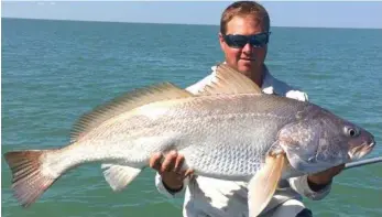  ?? PHOTO: CONTRIBUTE­D ?? IT’S A CRACKER: Mark Webb with a cracking 14kg jewfish.