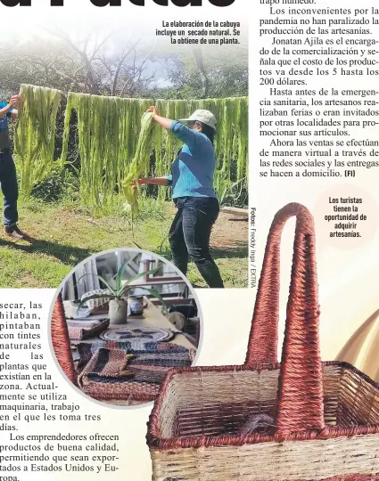 La cabuya le da vida a Paltas - PressReader