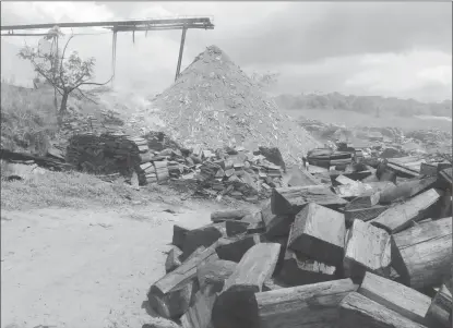  ??  ?? The waste from Superior Shingles and Wood Products Inc, where members of the Yarowkabra Coal Burners’ Associatio­n get their wood free of cost for the coal pits. The waste is deposited by the company’s conveyor system connected to the company’s...