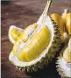  ?? Suzanne Lee For The Times ?? THE MUSANG KING has a bright yellow hue that distinguis­hes it from other varieties.