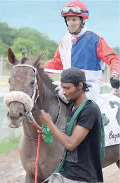  ?? FILE ?? BILINGUAL with Dick Cardenas in the saddle.